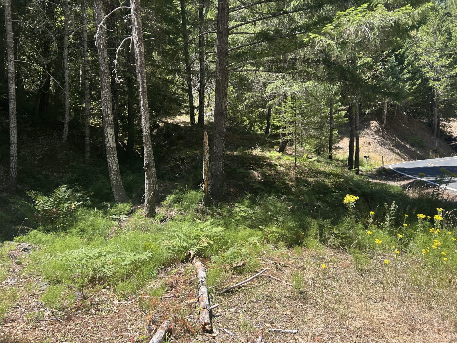 Wooded vacant lot at 24378 Lilac Rd, Willits, CA