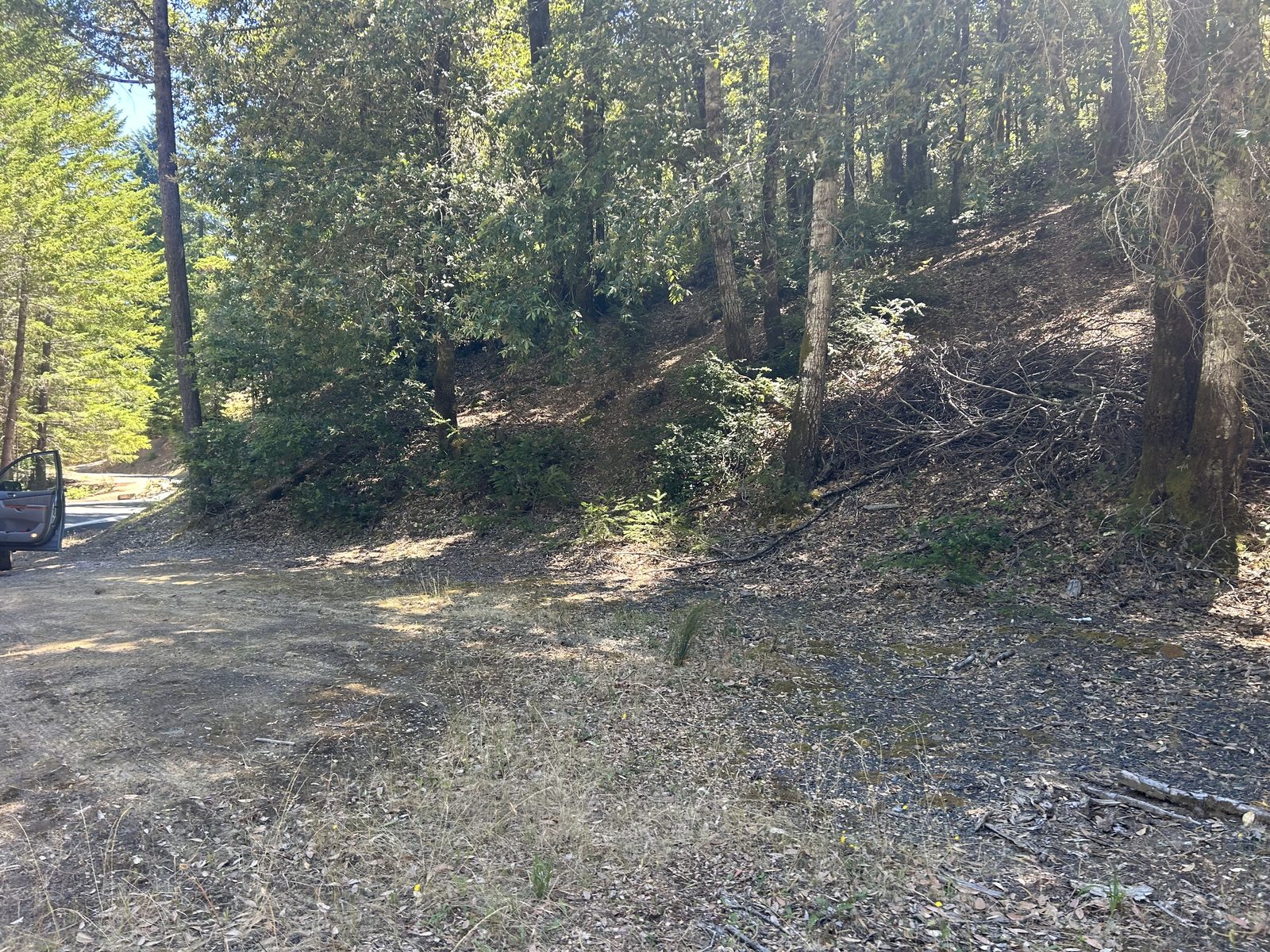 Cleared area near the road on the Lilac Rd lot